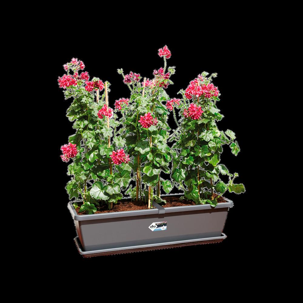 Barcelona Xl Soucoupe 80