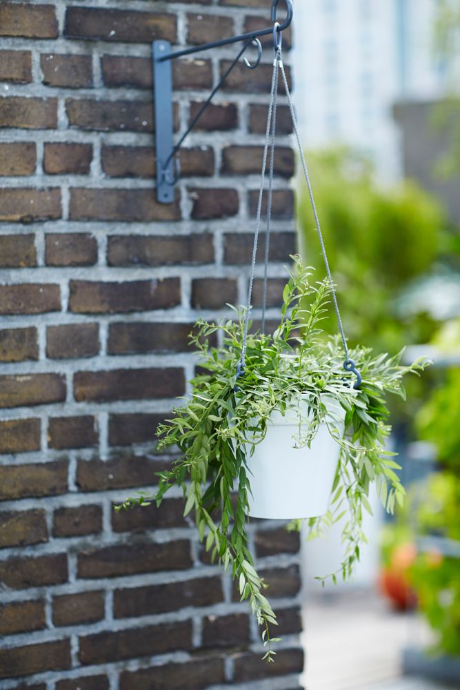 Loft Urban Suspension 20