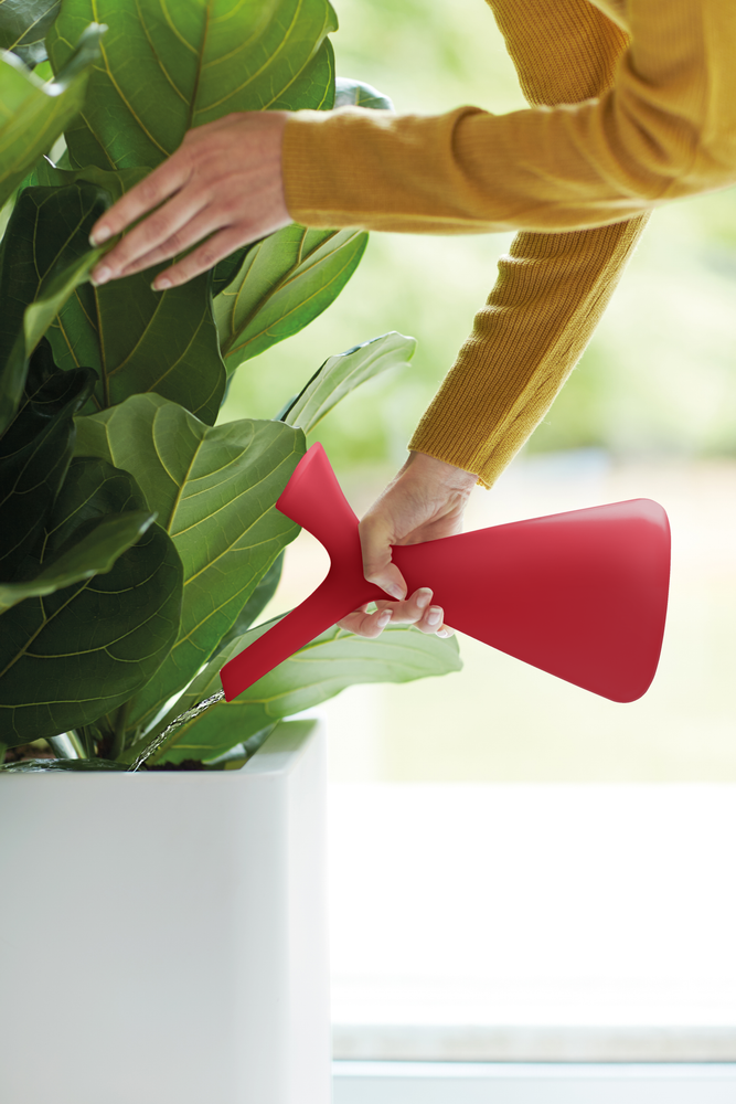 Plunge Arrosoir 1,7ltr