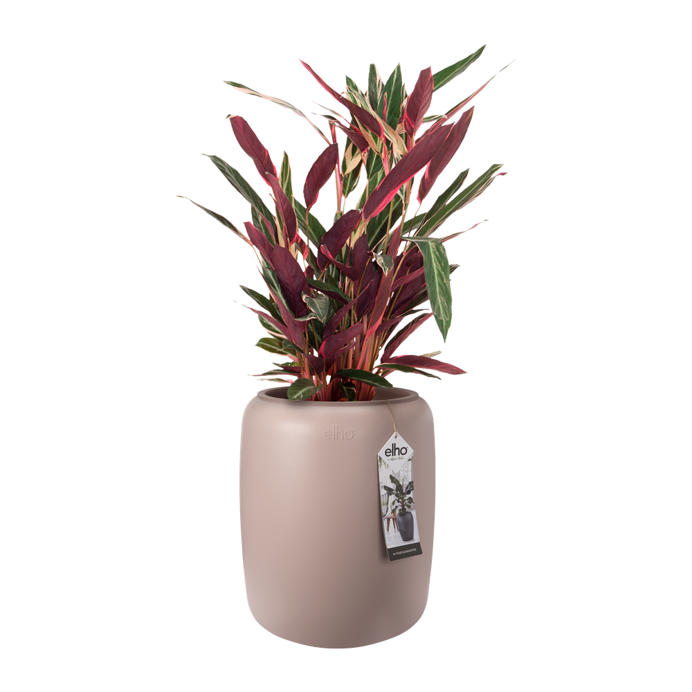 Pure Beads Medium 40