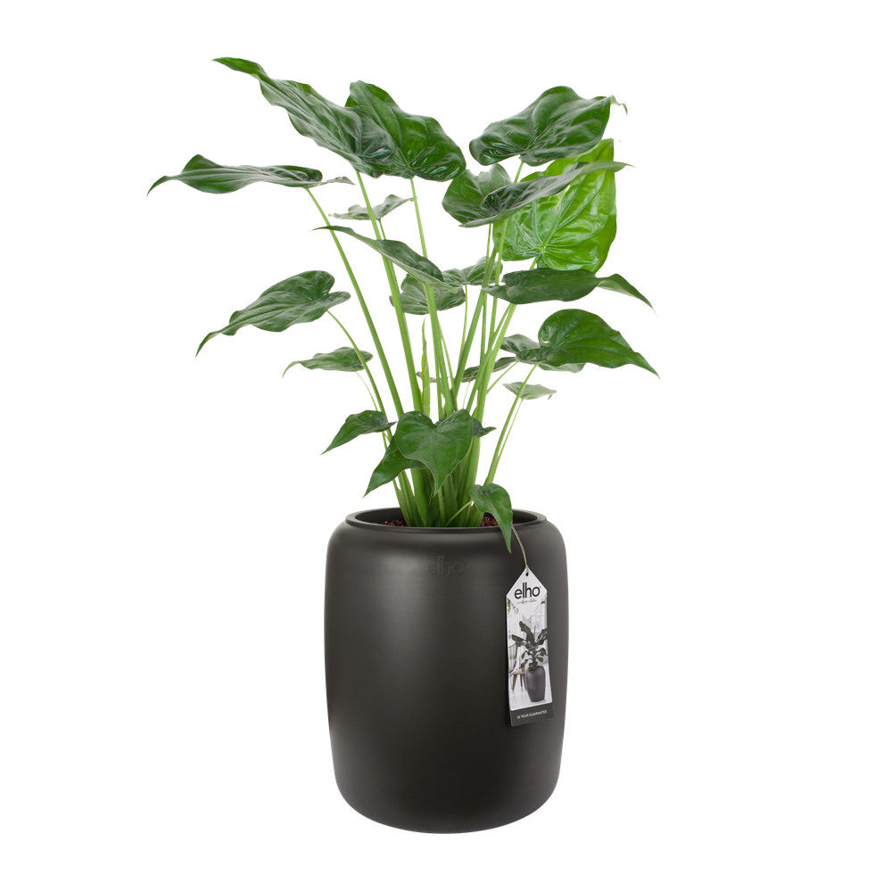 Pure Beads Medium 40