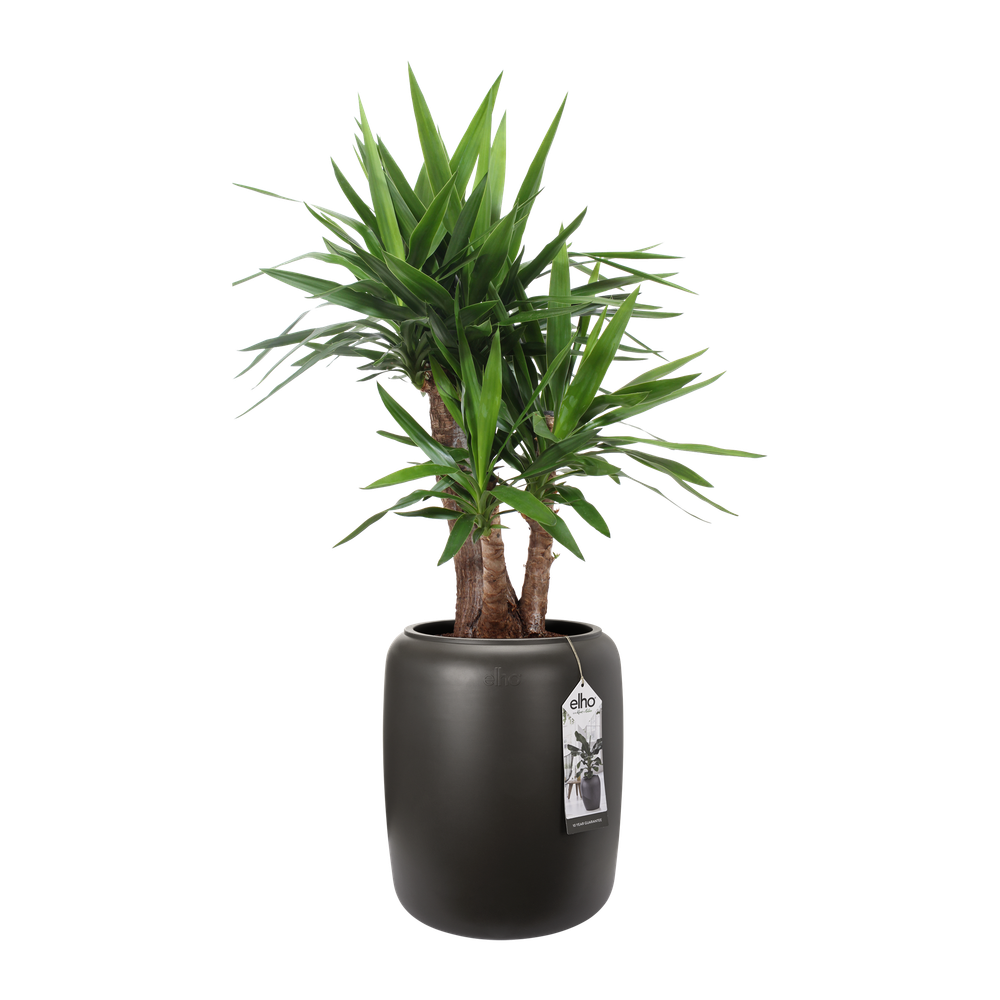 Pure Beads Medium 40