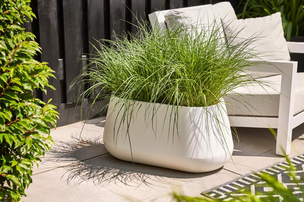 Pure Cone Long Wheels 75