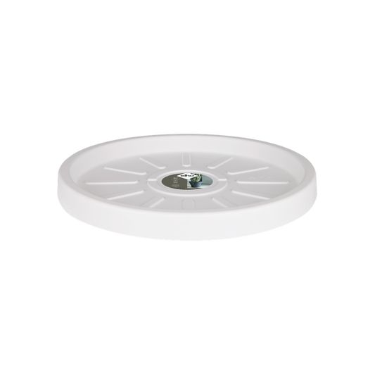 Pure Saucer 45