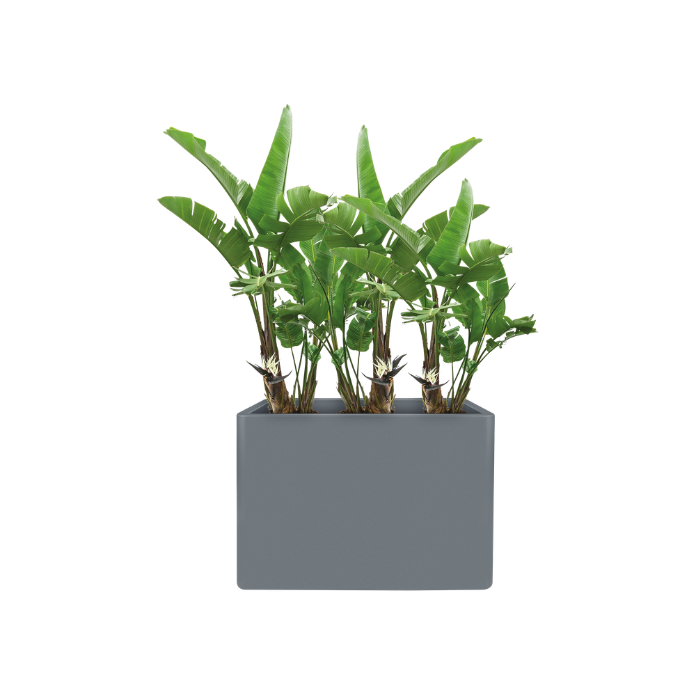 Pure Soft Brick Divider Wheels 80