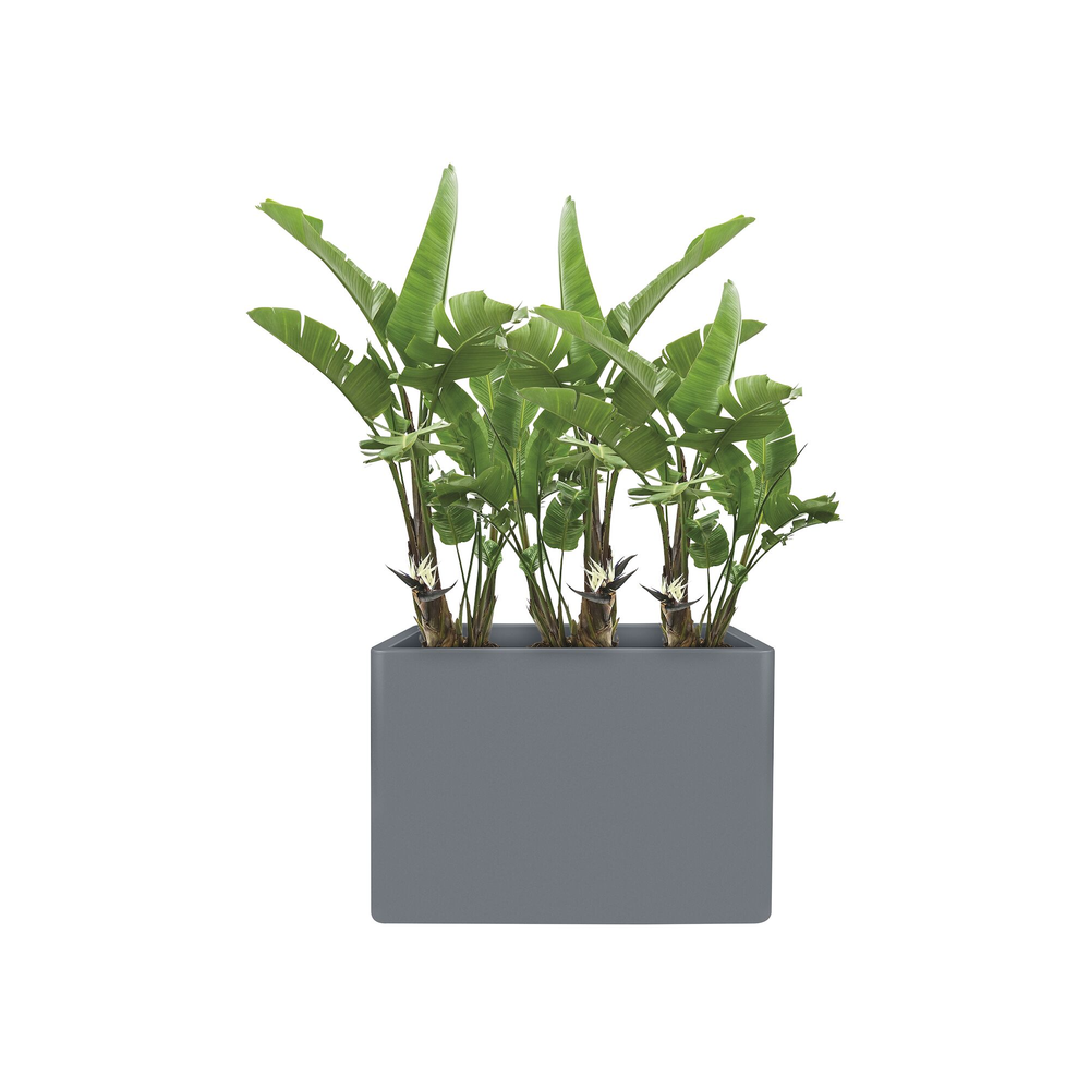 Pure Soft Brick Divider Wheels 80