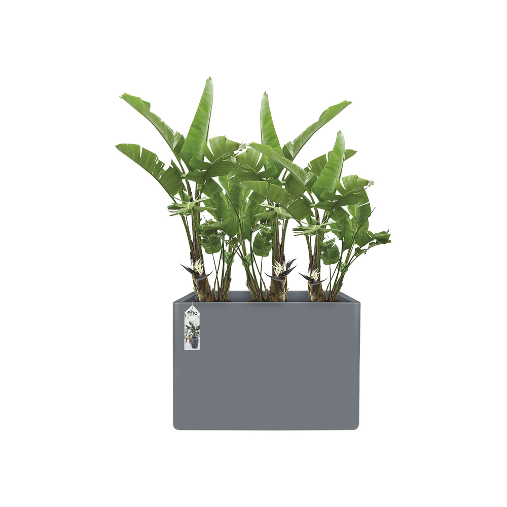 Pure Soft Brick Divider Wheels 80