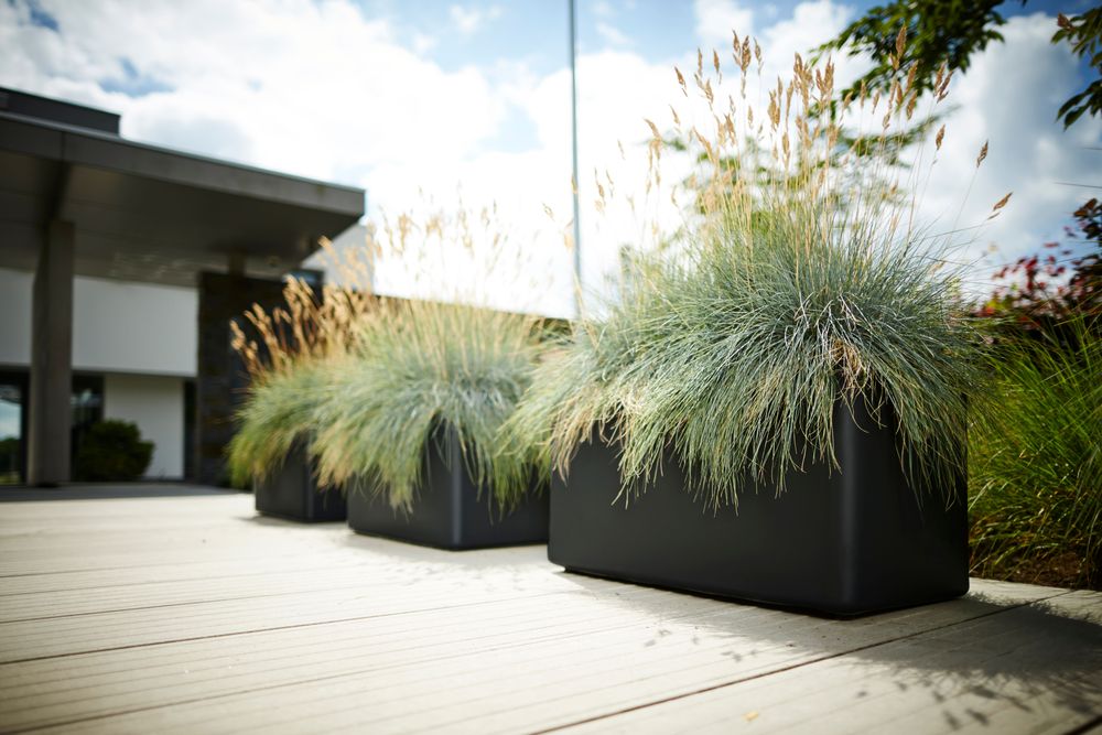 Pure Soft Brick Long Wheels 80