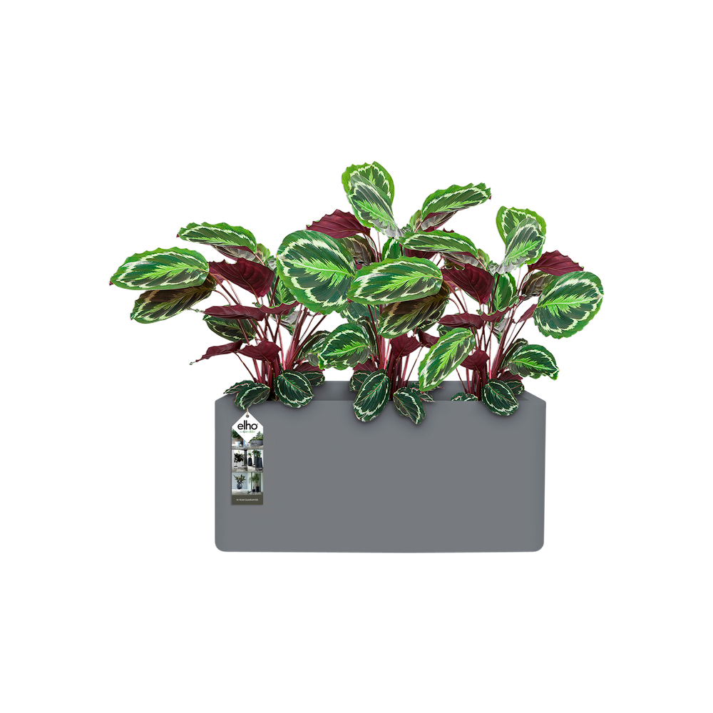 Pure Soft Brick Long Wheels 80