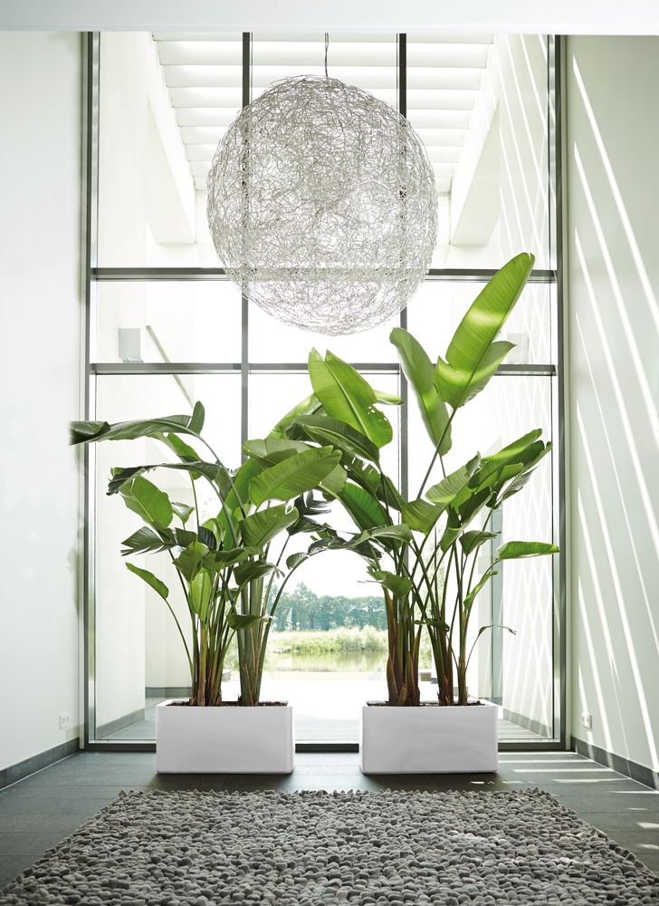 Pure Soft Brick Long Wheels 80