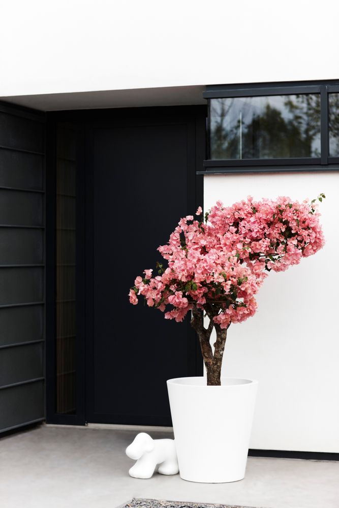 Pure Straight Round 80