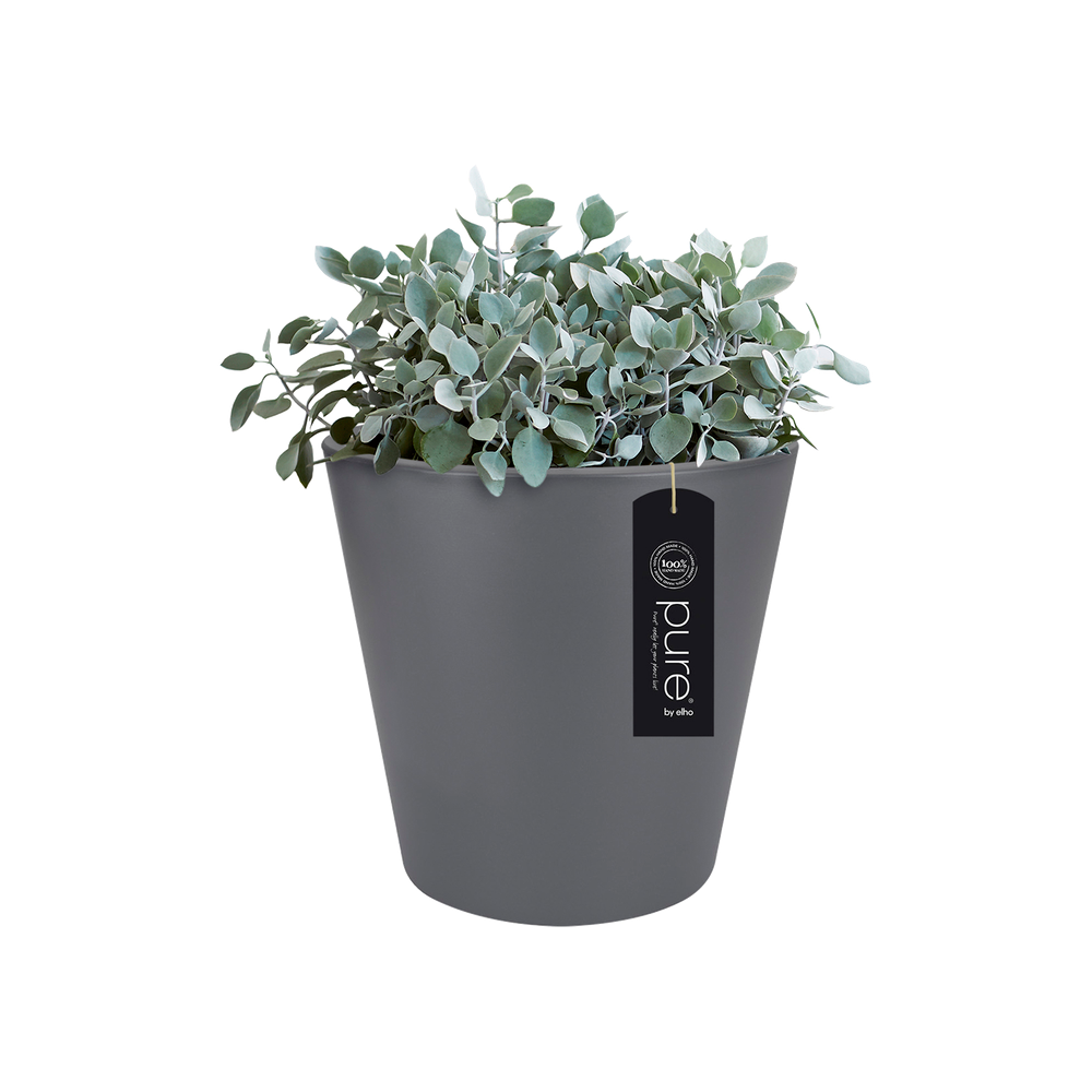 Pure Straight Round 80