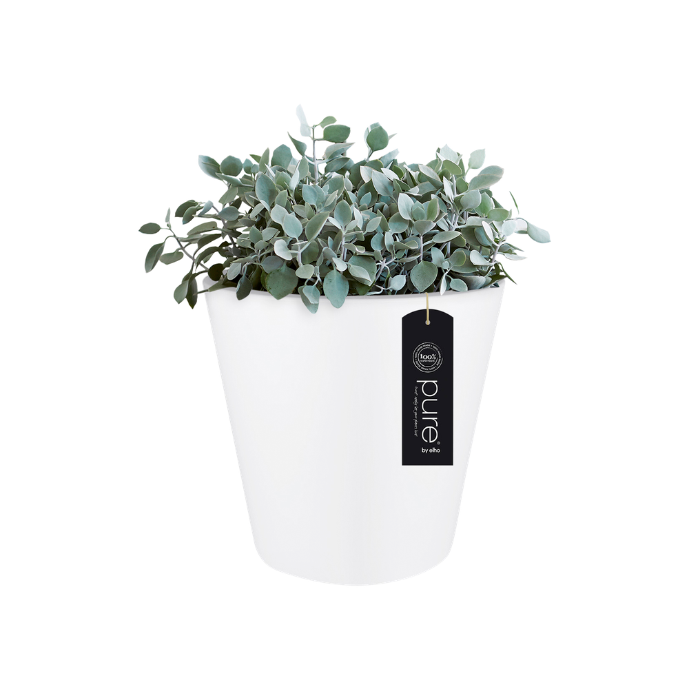 Pure Straight Round 80