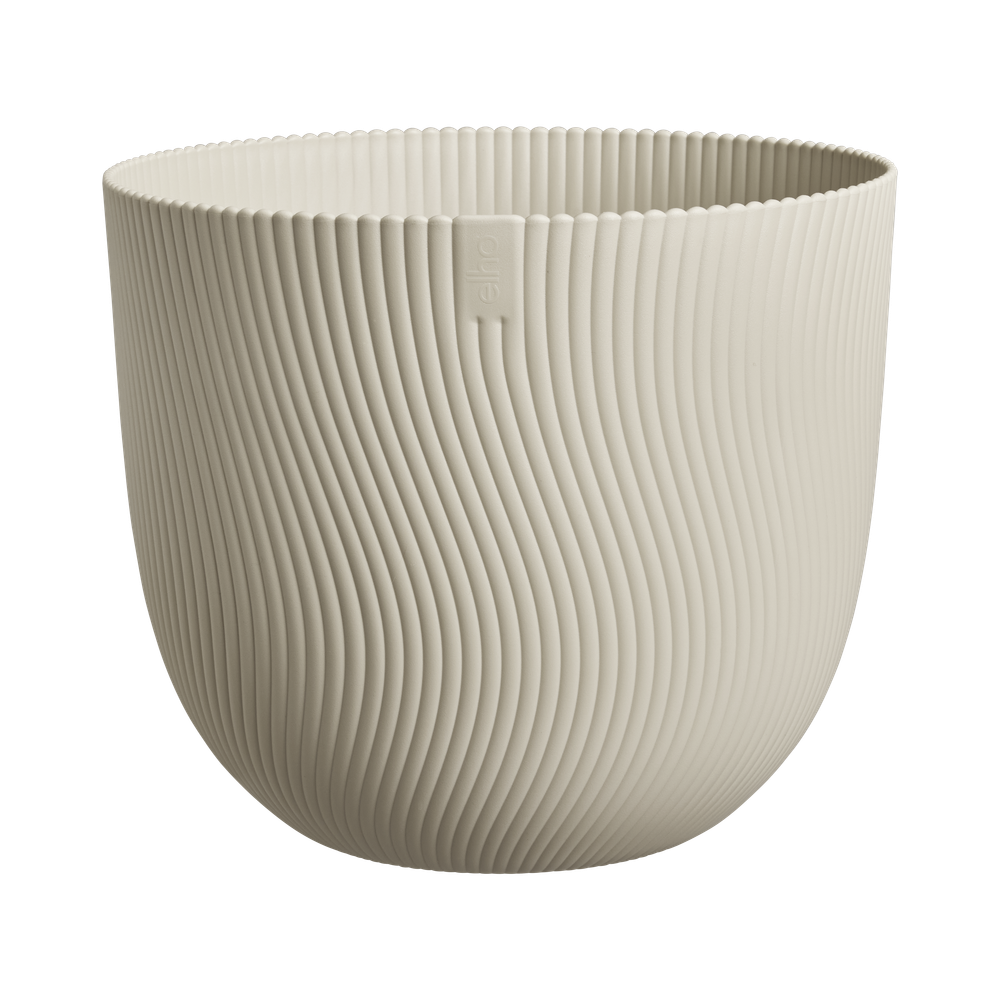 Sereh Rond 25