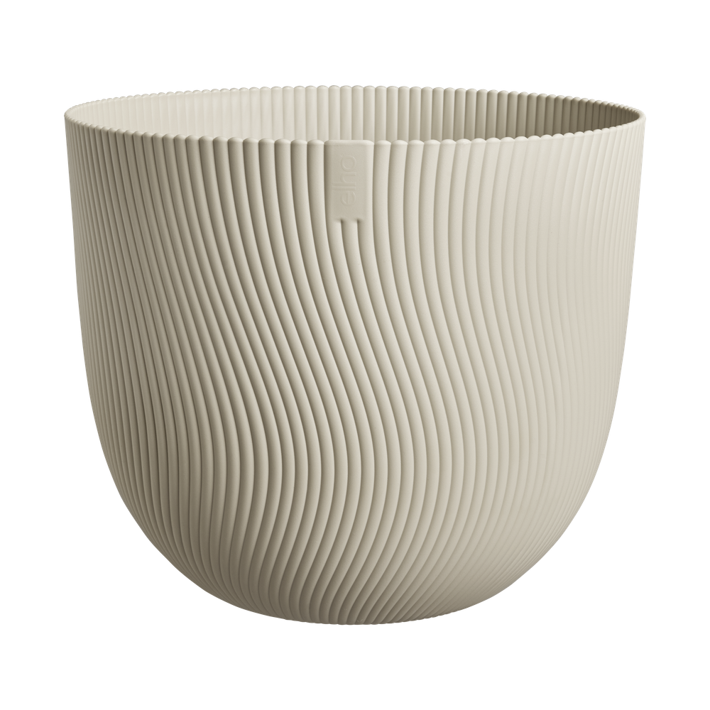 Sereh Rond 47