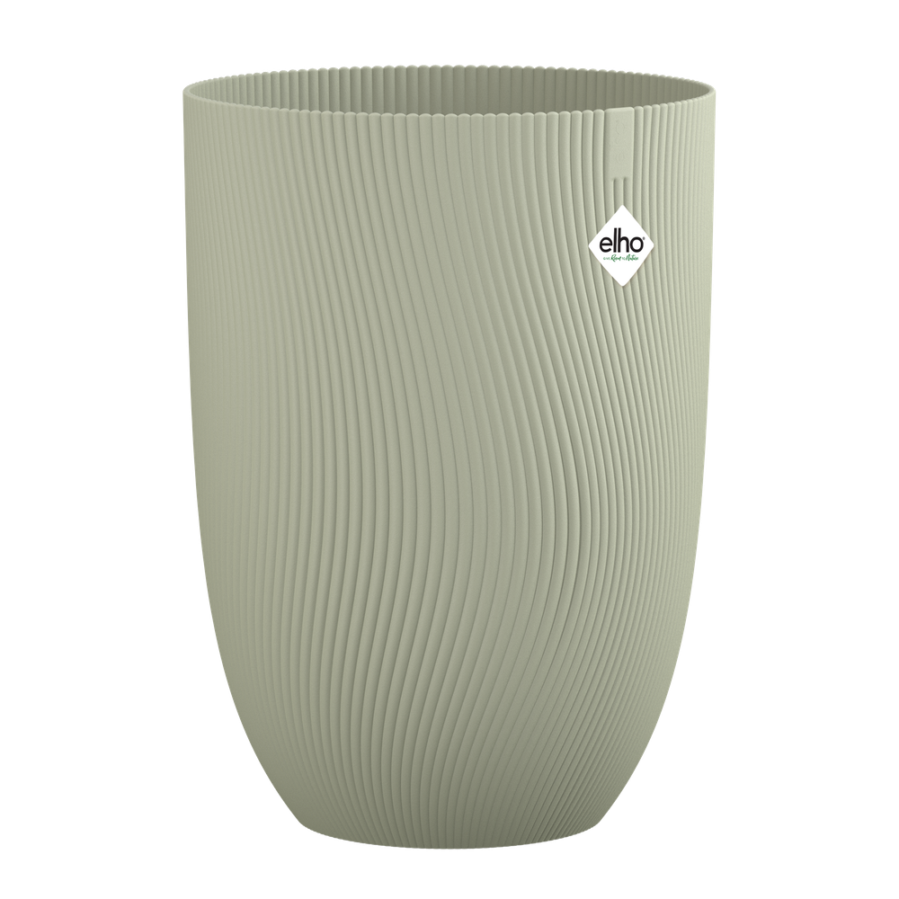 Sereh Haut 40