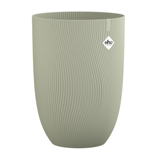 Sereh Haut 40