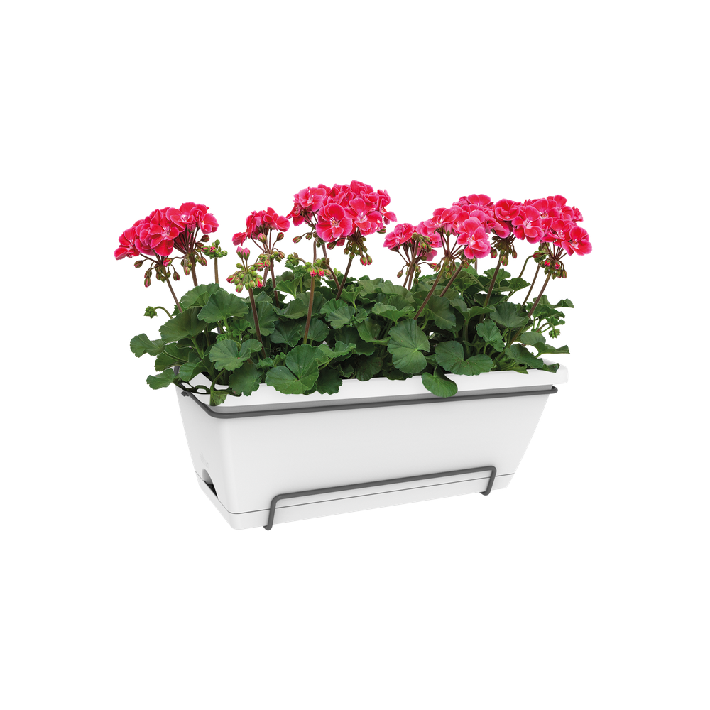 Barcelona Xl Allin1 55