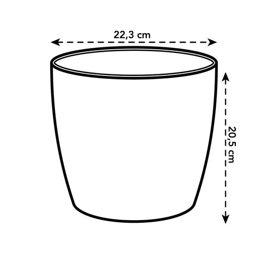 The Coffee Collection Ronde 22