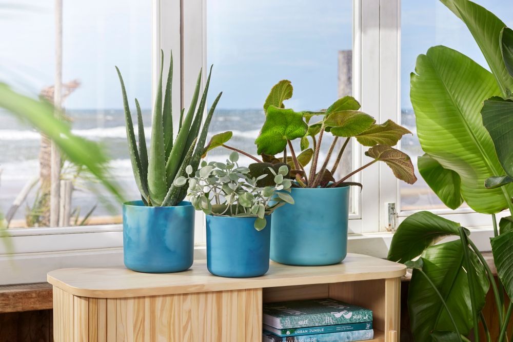 The Ocean Collection Ronde 16