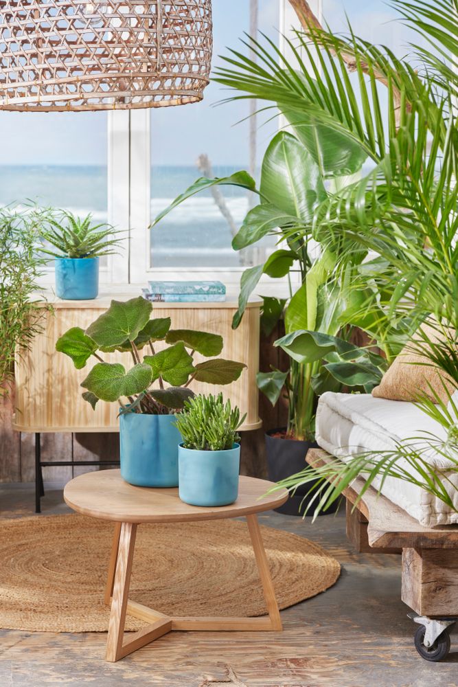 The Ocean Collection Ronde 18