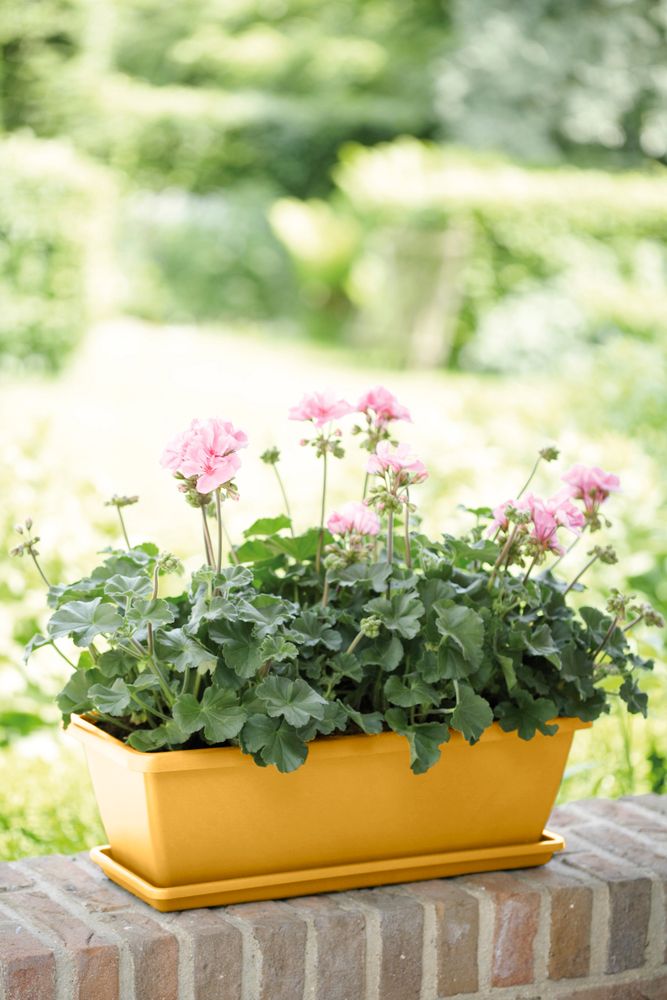 Barcelona Balconnière Soucoupe 70
