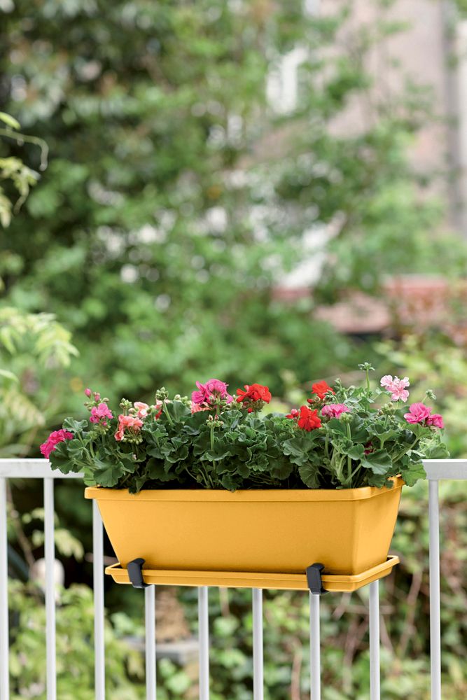 Barcelona Balconnière 50