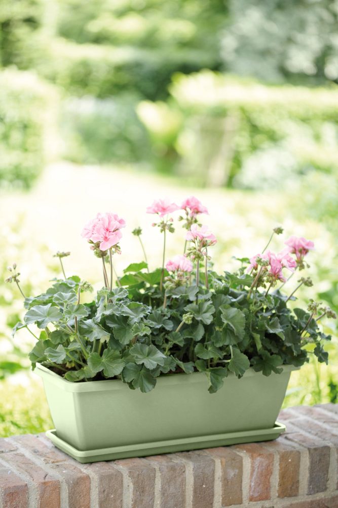 Barcelona Balconnière Soucoupe 70