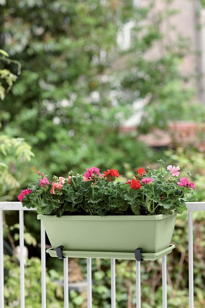 Barcelona Balconnière 40