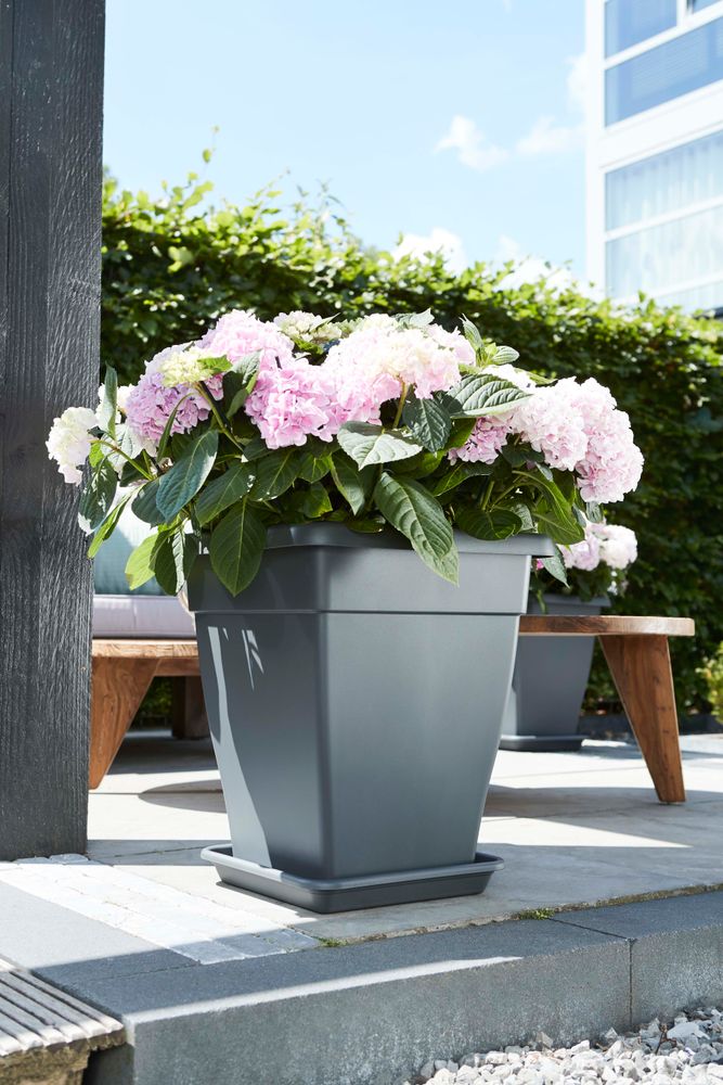 Soucoupe Universelle Carrée 20