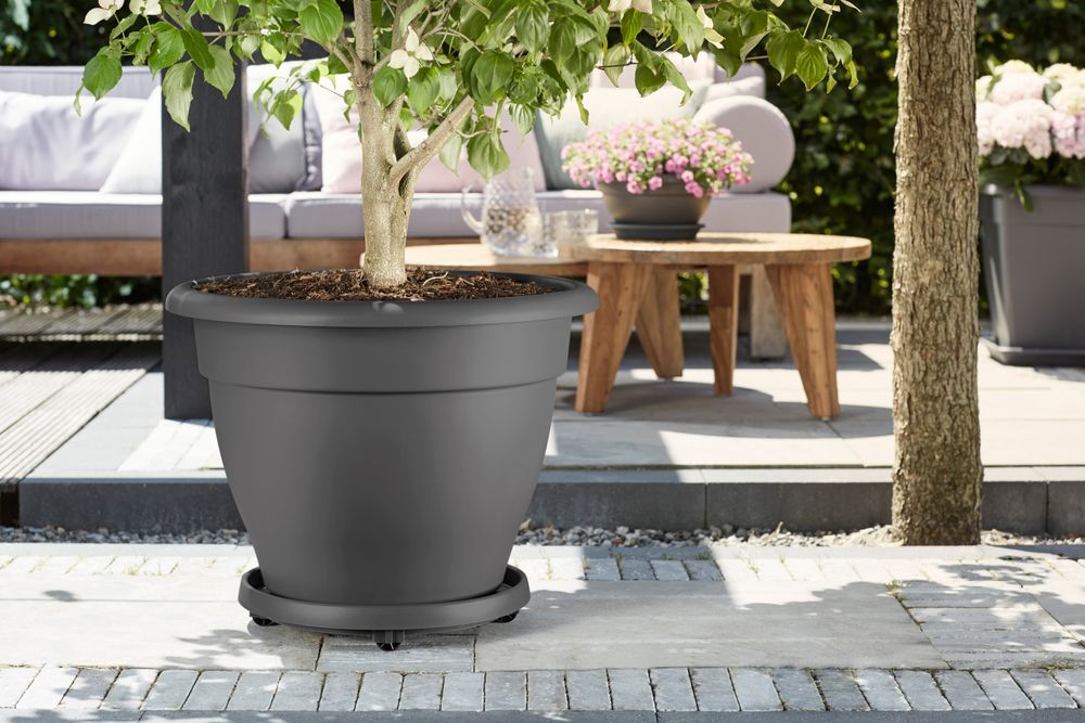 Planttaxi Universel 30