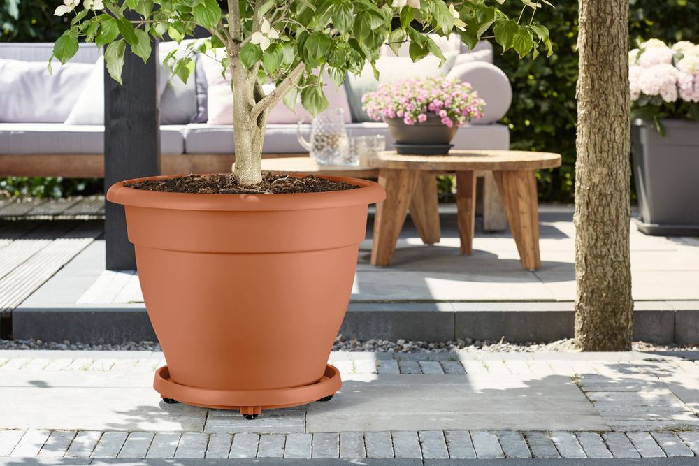 Planttaxi Universel 30