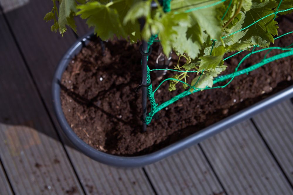 Green Basics Jardiniere Treillis 80