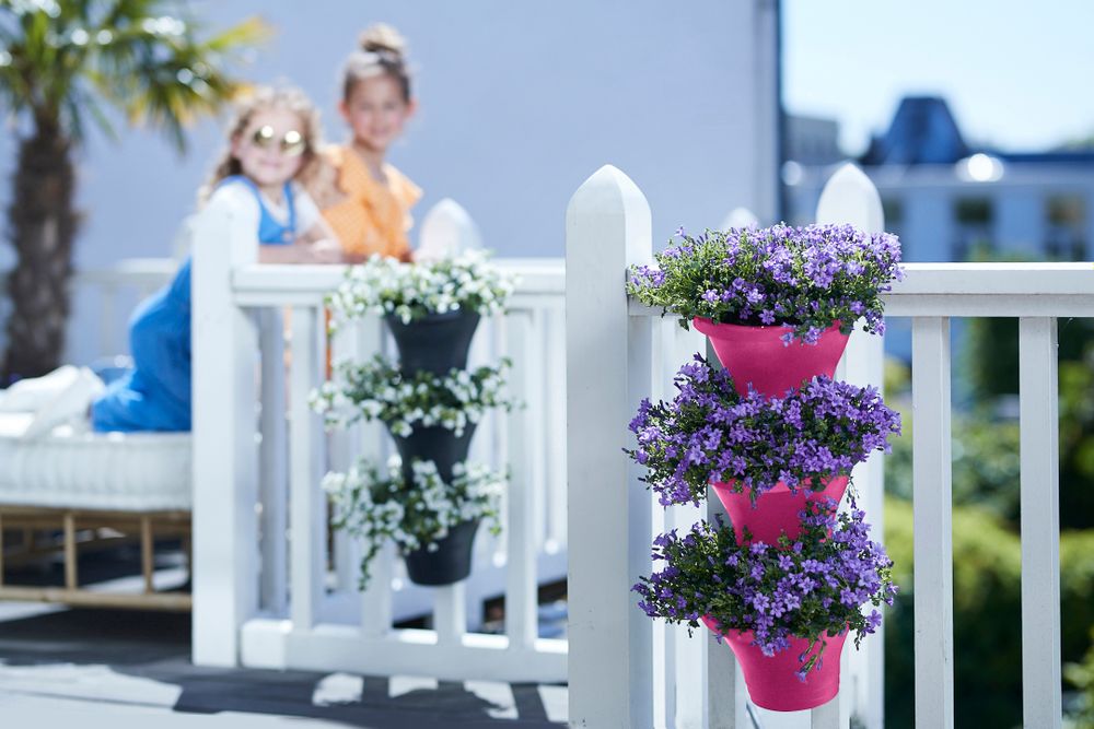 Corsica Forêt Vertical 24 Set/3