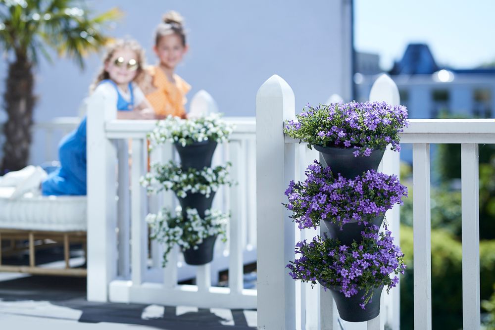 Corsica Forêt Vertical 24 Set/3