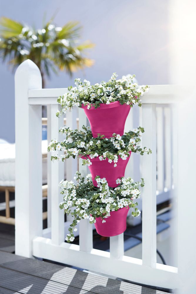 Corsica Forêt Vertical 24 Set/3