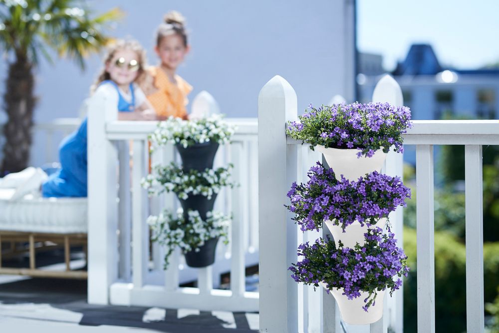 Corsica Forêt Vertical 24 Set/3