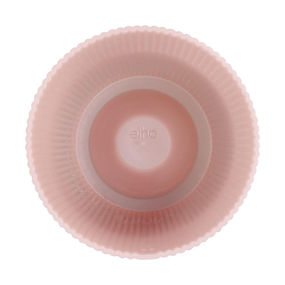 Vibes Fold Orchidée Haut 12,5