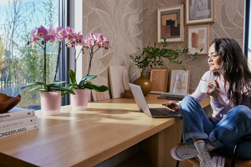 Vibes Fold Orchidée Haut 12,5