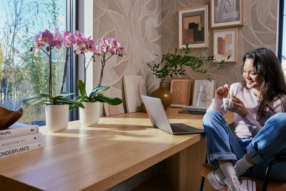 Vibes Fold Orchidée Haut 12,5