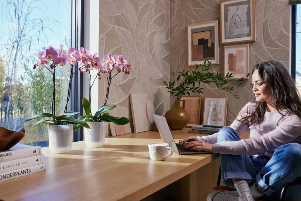 Vibes Fold Orchidée Haut 12,5