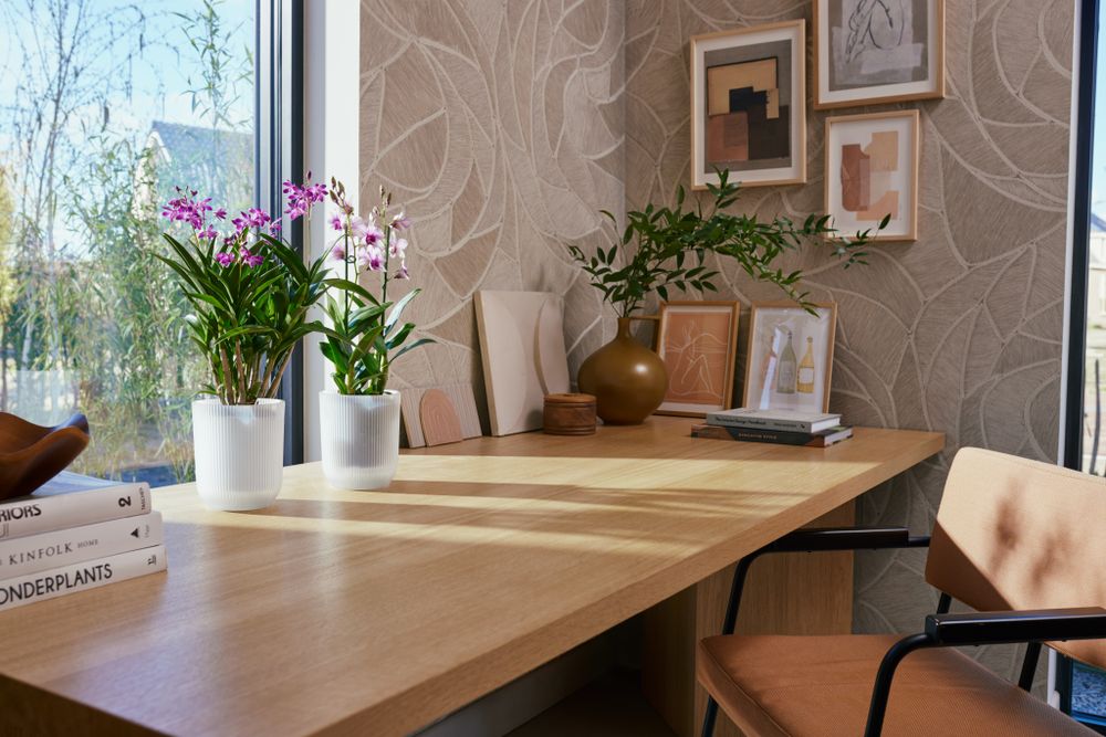 Vibes Fold Orchidée Haut 12,5