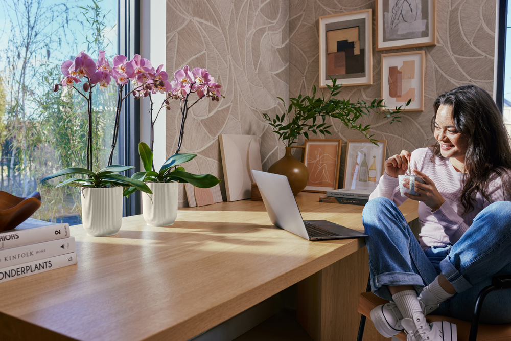 Vibes Fold Orchidée Haut 12,5