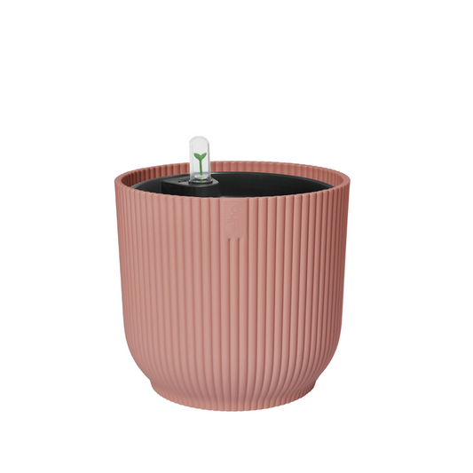 BNDL Vibes Fold Ronde 22+swi 21