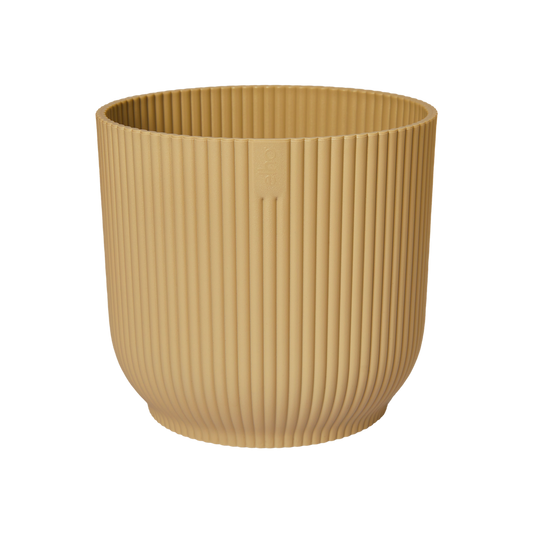 Vibes Fold Rond 14