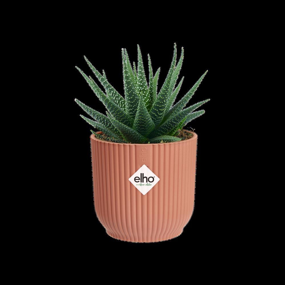 Vibes Fold Rond Mini 11