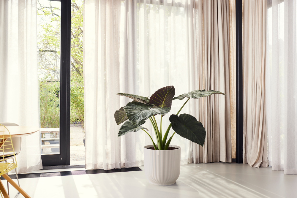 Vibes Fold Rond 40