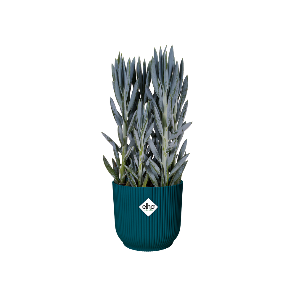 Vibes Fold Rond Roues 35