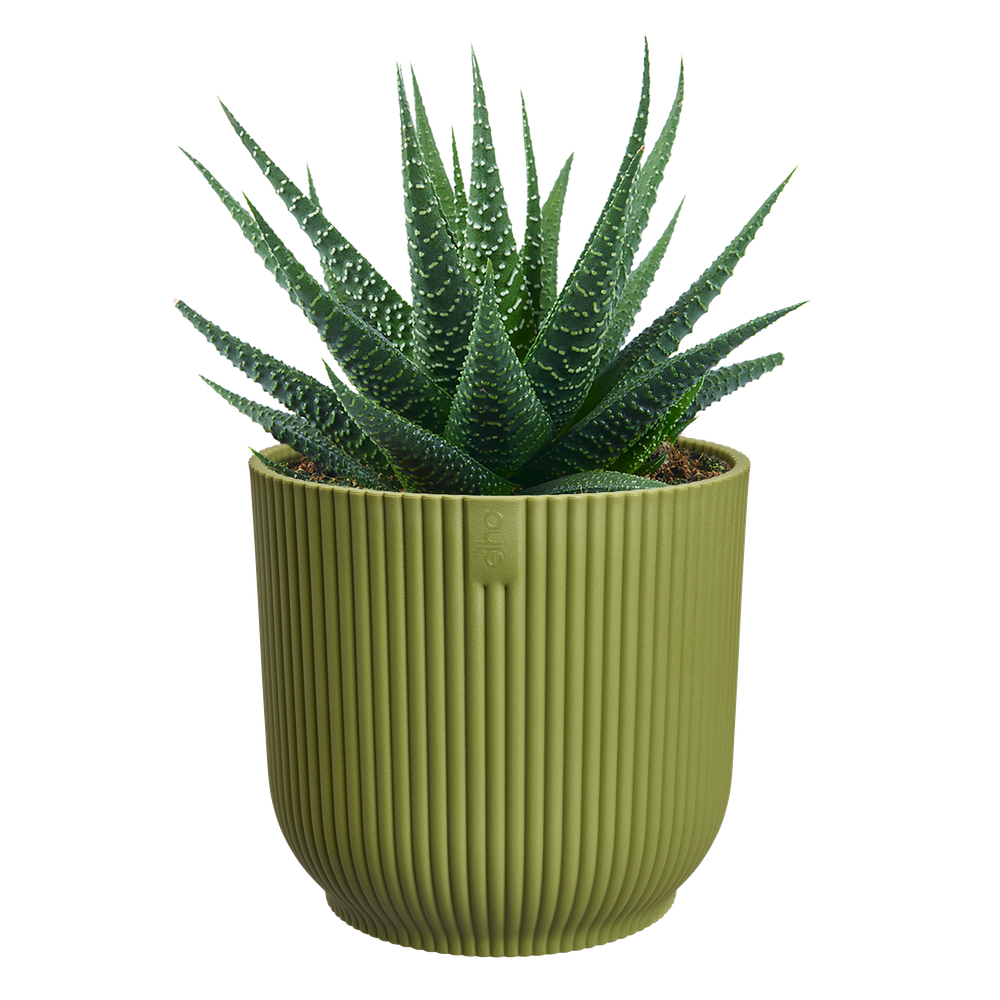 Vibes Fold Rond Mini 9