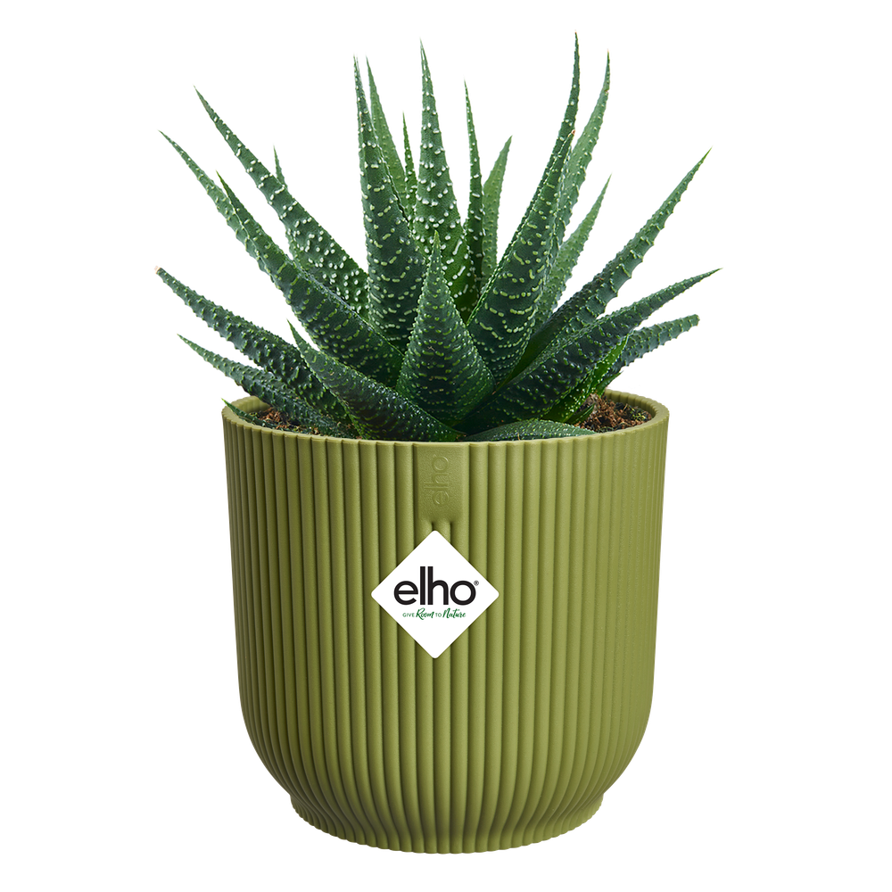 Vibes Fold Rond Mini 9